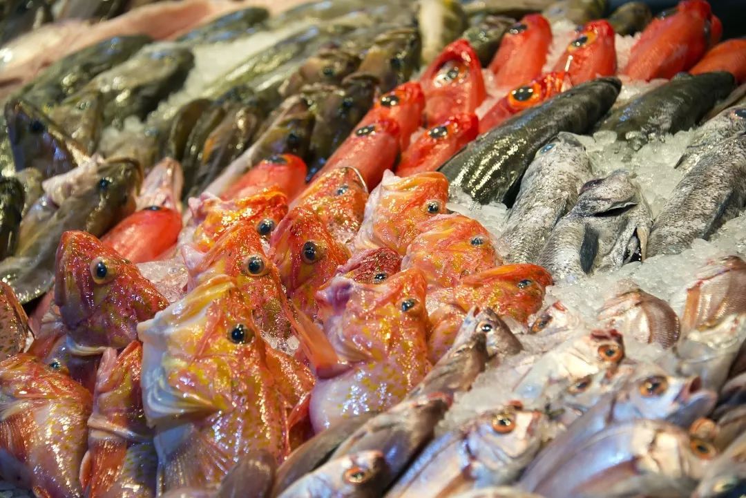 从马路菜场到当时华东最大,温岭这个水产品市场把海鲜送向世界